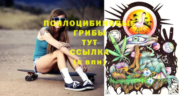 соль ск Алексин