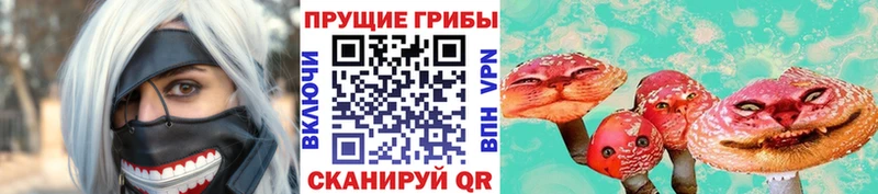 где можно купить наркотик  Лениногорск  hydra онион  Псилоцибиновые грибы Cubensis 